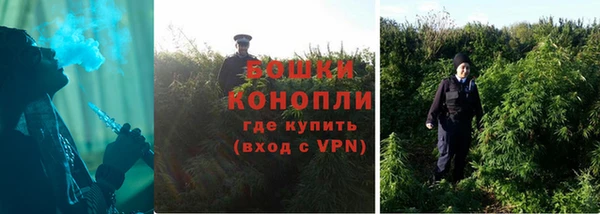 скорость Каменка