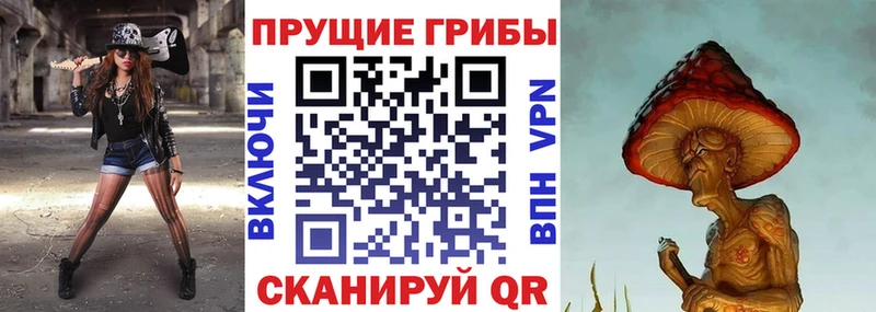 где купить наркотик  Сурск  Псилоцибиновые грибы мицелий 