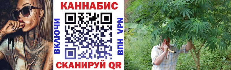 Конопля гибрид  Сурск 